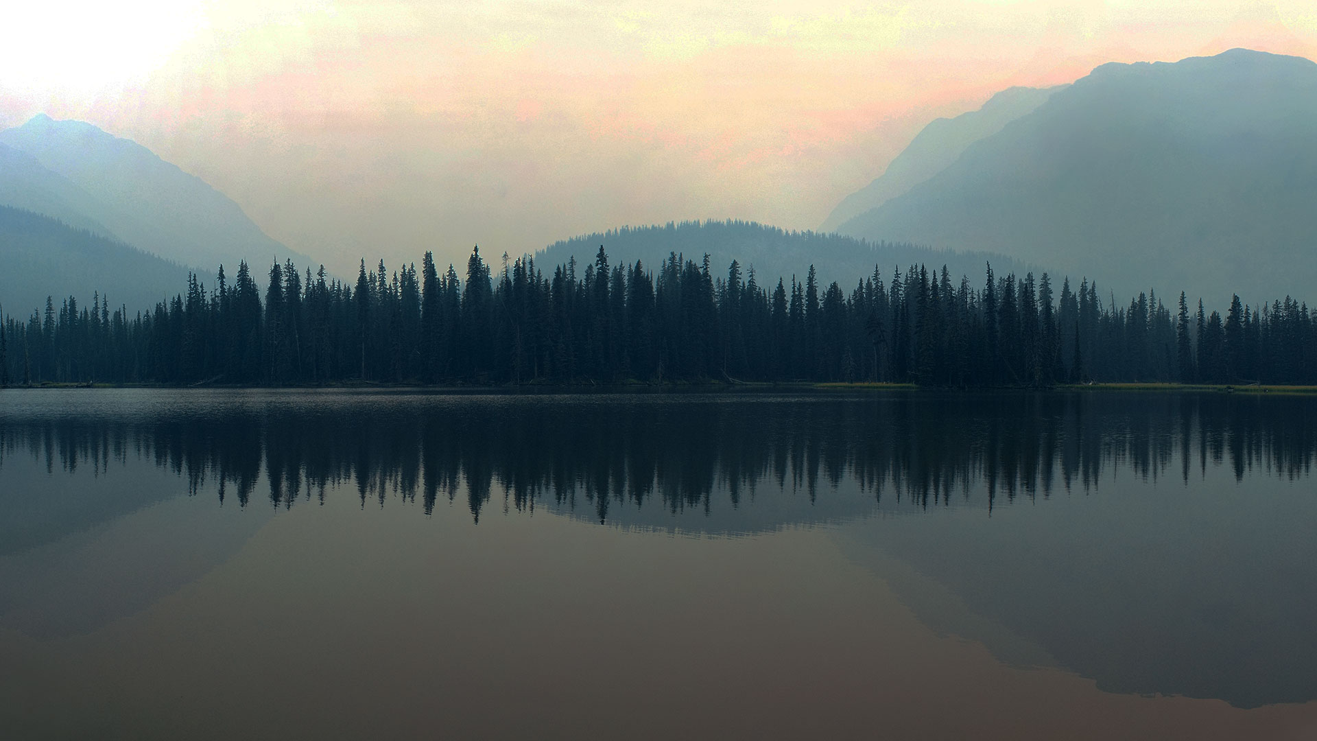 Lake in the forest