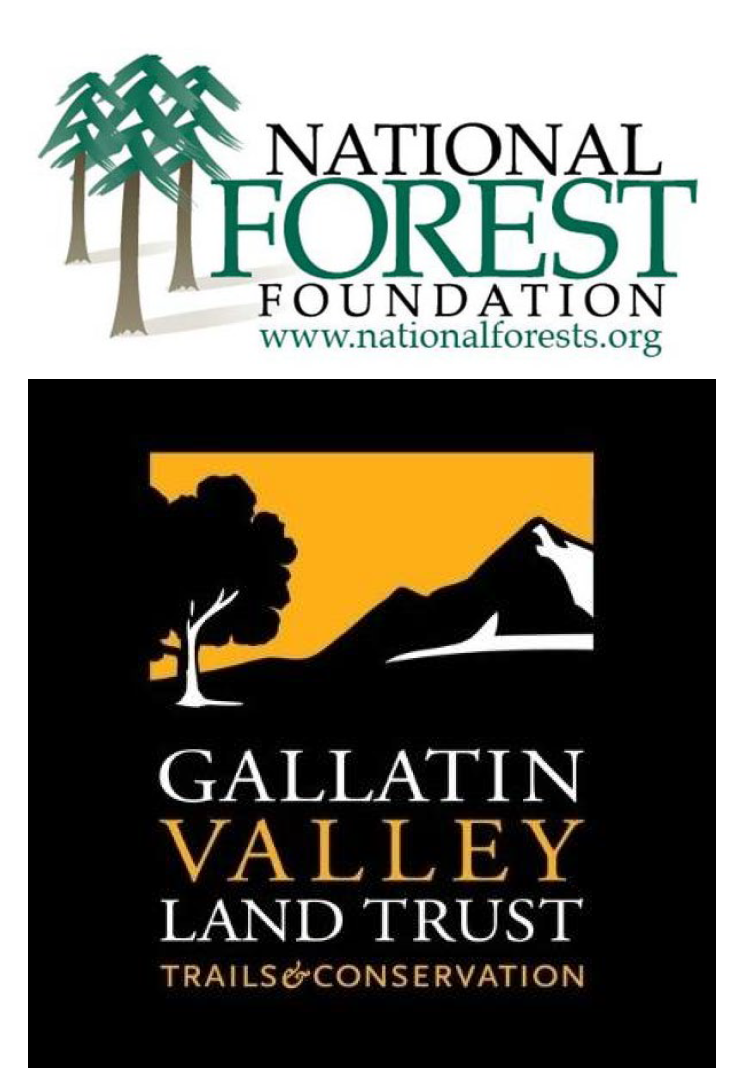 A logo for a forest foundation

Description automatically generated