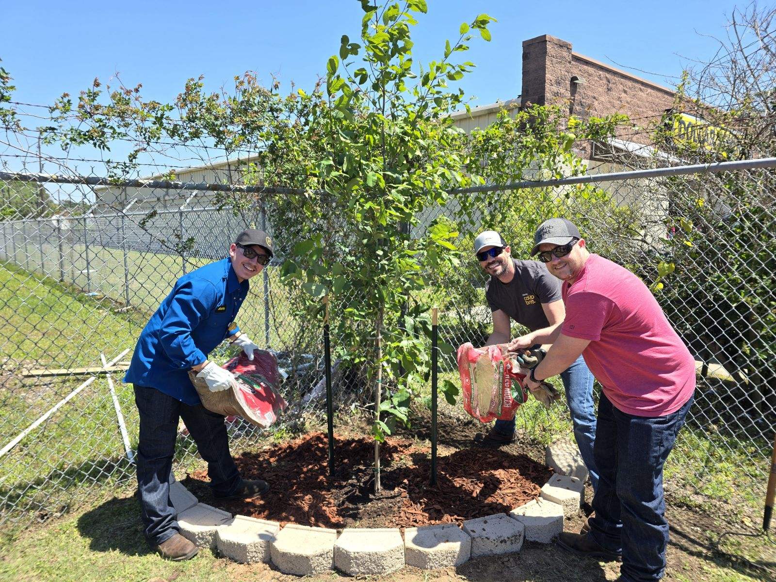 A group of men planting a tree

Description automatically generated