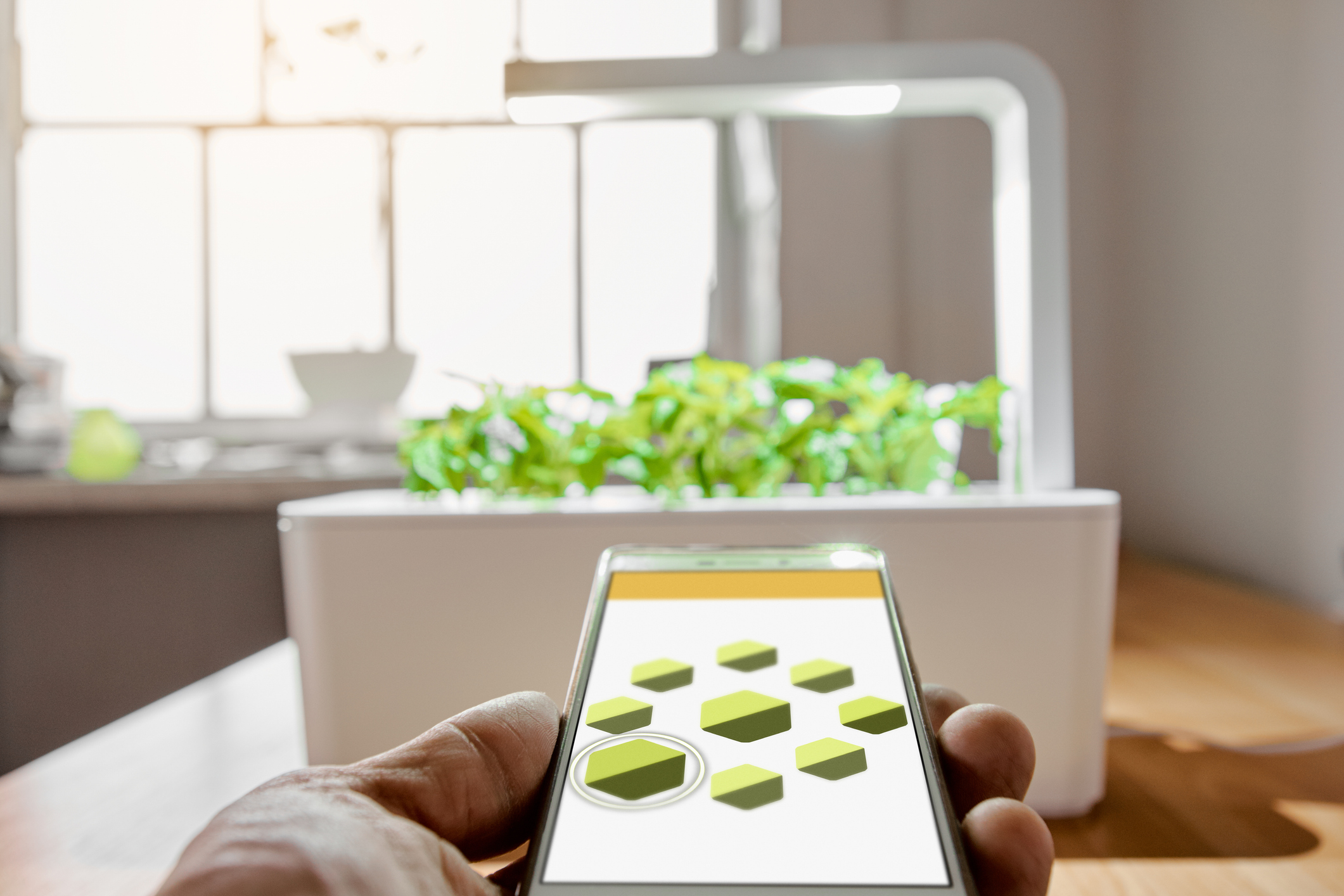 Closeup of male hand holding remote to control plant growth and local lights, focus is on smart remote