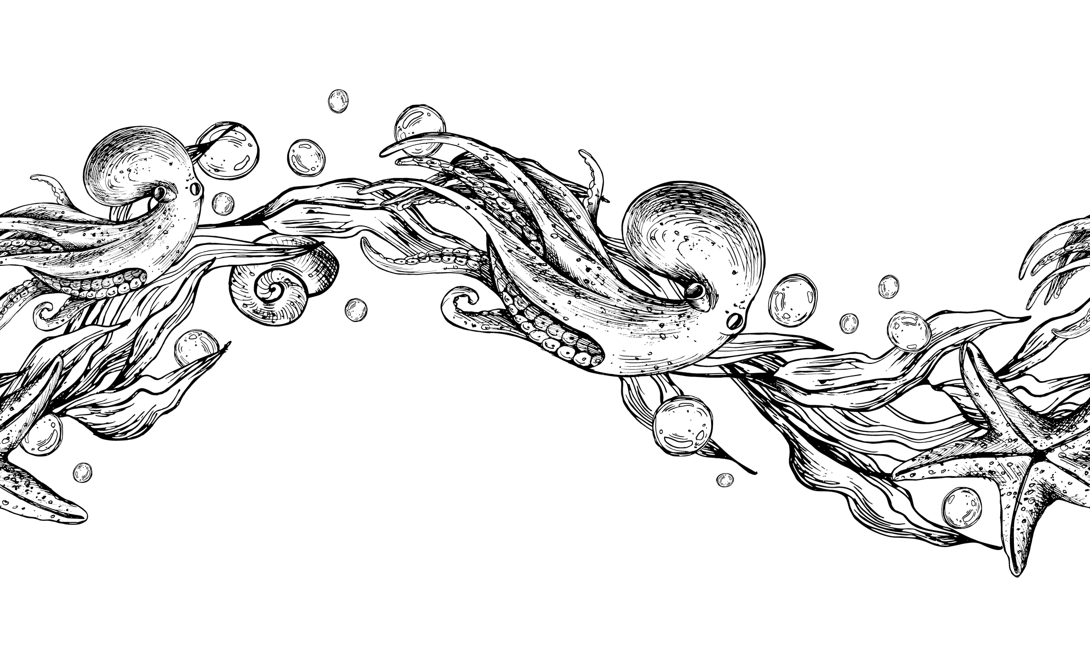 Octopus, seaweed in wave shape with starfish and water bubbles. Graphic illustration hand drawn in black ink. Seamless pattern border EPS vector.